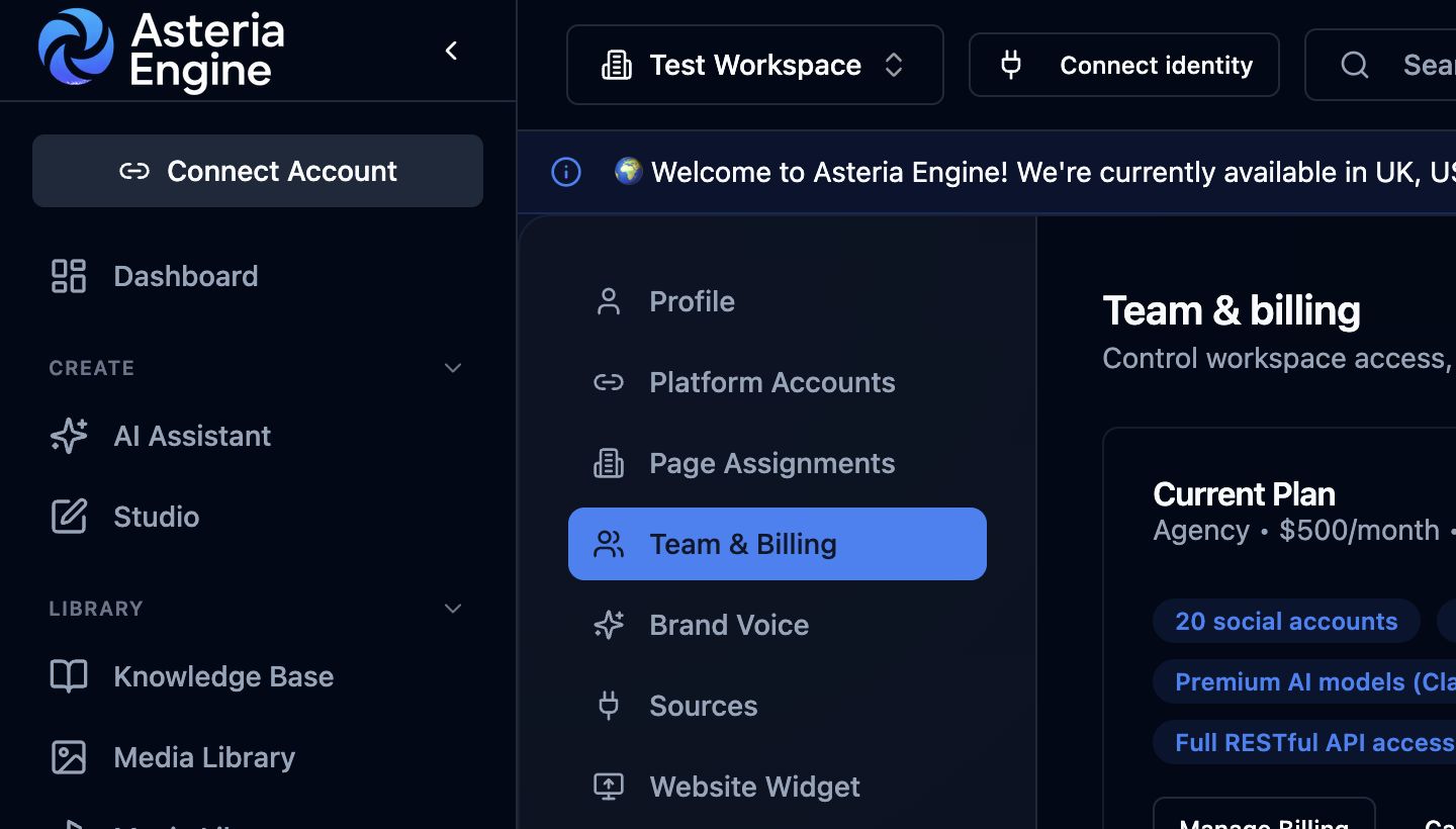 Asteria Engine Team and Billing settings, where workspace owners manage members and invitations.